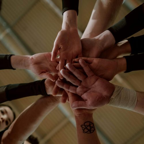 pexels photo 7322770 7322770 3